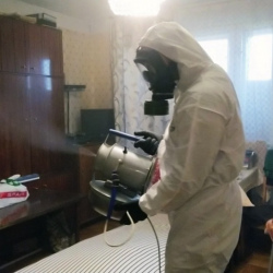 Дезинфекция от клопов в Пыталово