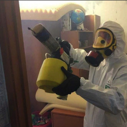 Уничтожение клопов в квартире. Пыталово